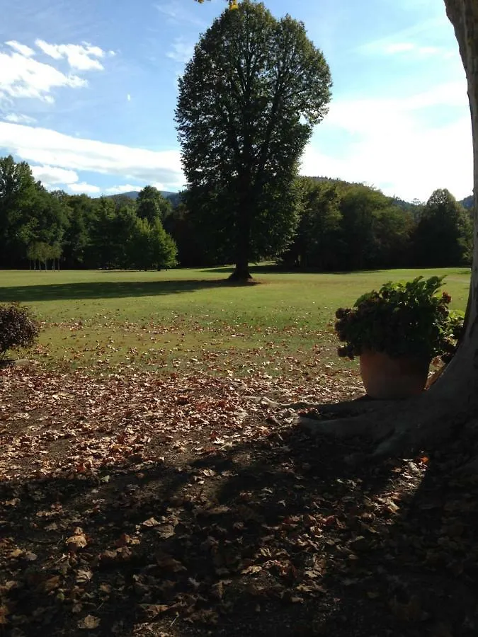 Chateau Du Val Larbont La Bastide-de-Serou Bed & Breakfast